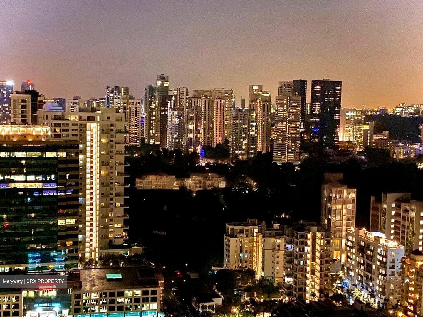 Trilight (D11), Condominium #467290451
